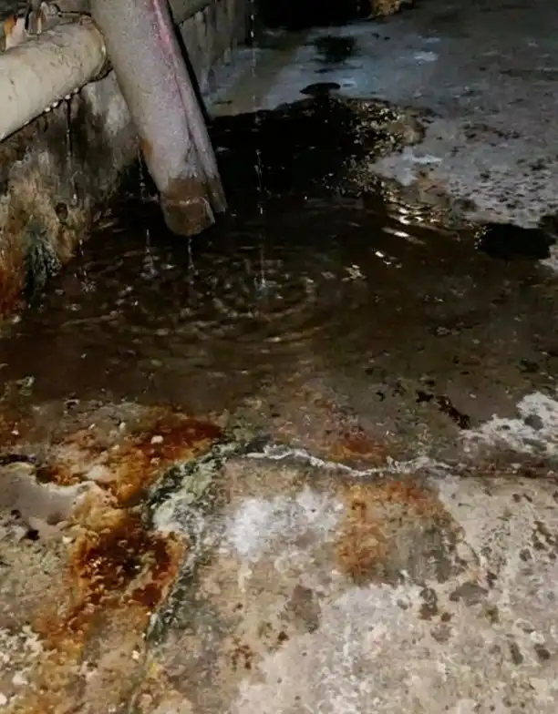 Жалоба на протекающие трубы и плесень в подвале - ЖКХ (Услуги) в Белгород