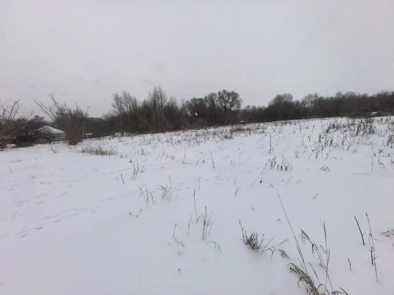 Продажа земельного участка 17 соток в Яковлевском районе - Земельные участки (Недвижимость) в Сабынино