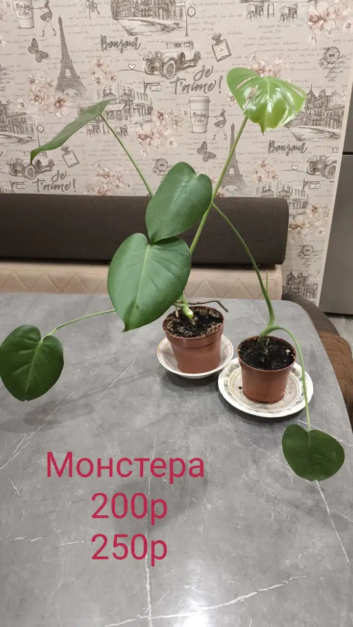 Продам б/у Apple MacBook Pro 13 M1 2020 - Ноутбуки (Электроника) в Белгород