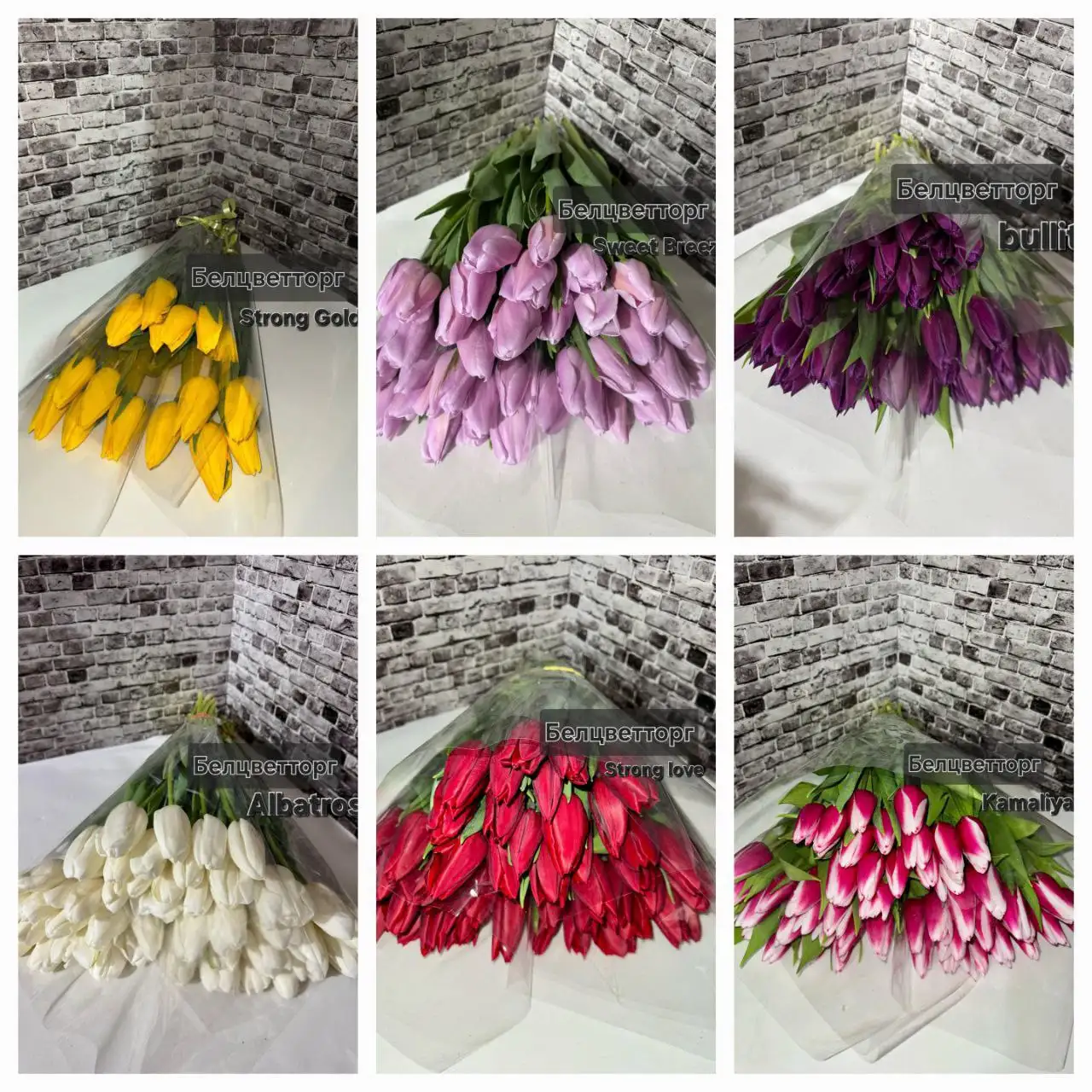 Тюльпаны и мимоза оптом и в розницу - Цветы (Хобби и отдых) в Белгород