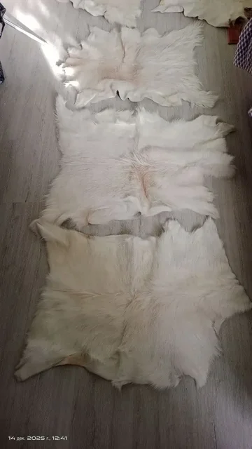 Козьи шкуры выделанные - Кожгалантерея в Белгород