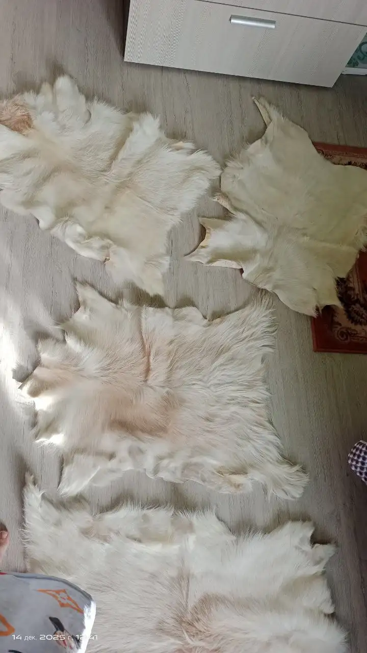 Козьи шкуры выделанные - Кожгалантерея (Барахолка) в Белгород