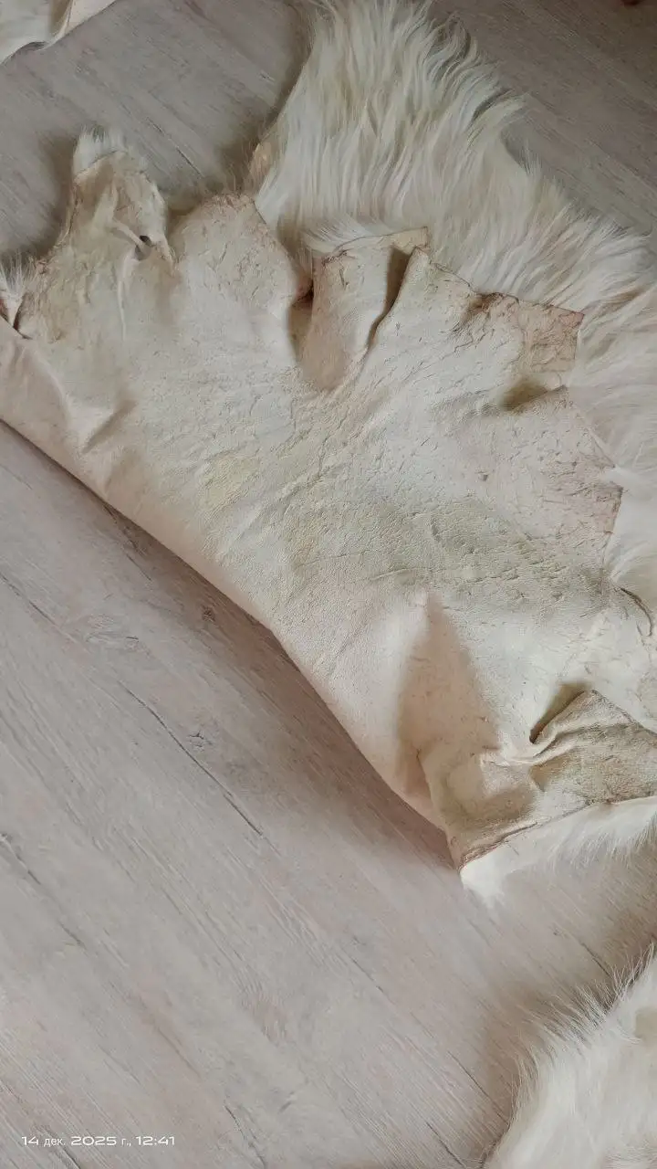 Козьи шкуры выделанные - Кожгалантерея (Барахолка) в Белгород