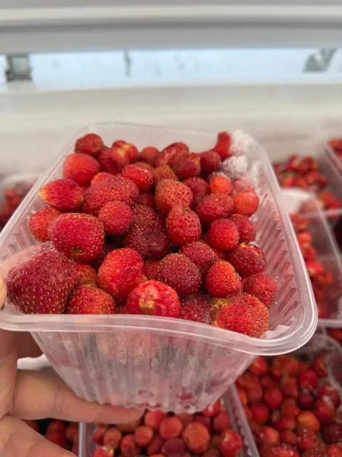 Продажа замороженной клубники - Подарочные наборы в Белгород