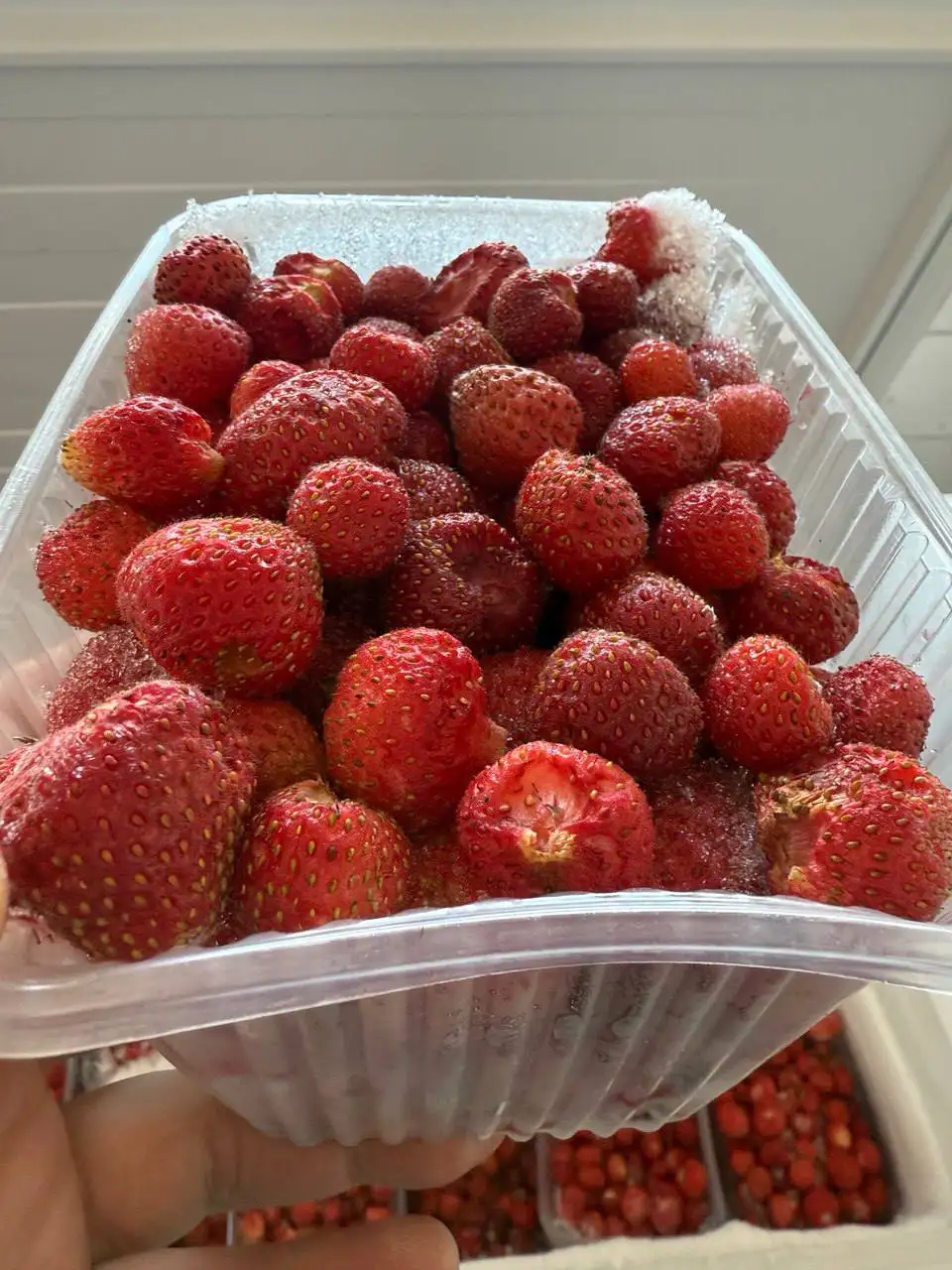 Продажа замороженной клубники - Продукты питания (Барахолка) в Белгород