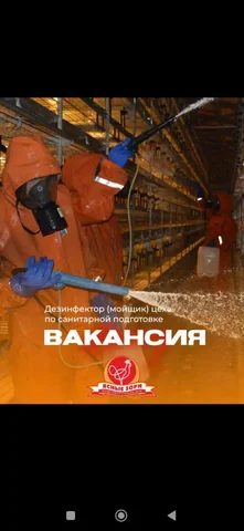 Набор персонала на птицефабрику: мойщики и трактористы - Курьерские услуги в Белгород
