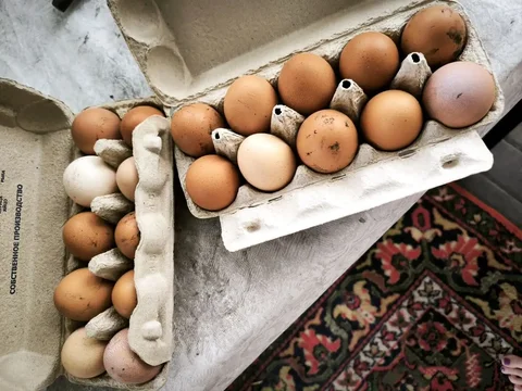 Продам деревенские куриные яйца - частное объявление в Белгород