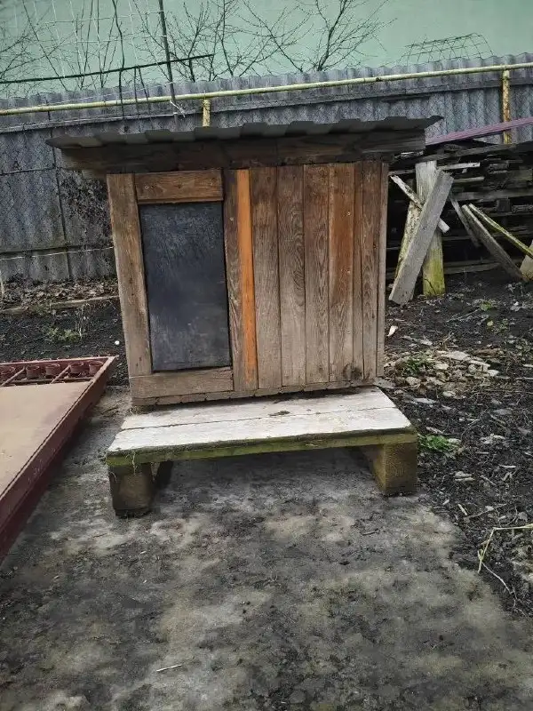 Будка для собак породы Джек Рассел из якутской лиственницы - Товары для животных (Животные) в Белгород