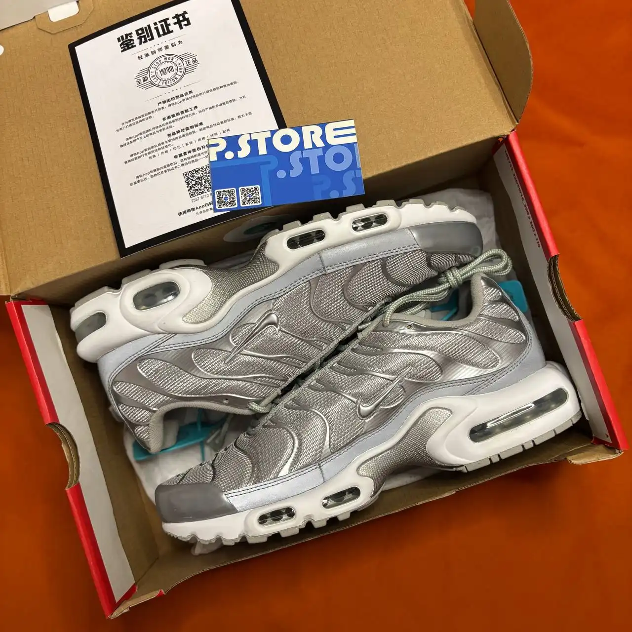 Nike Air Max TN Plus Metallic Silver в наличии в Пензе
