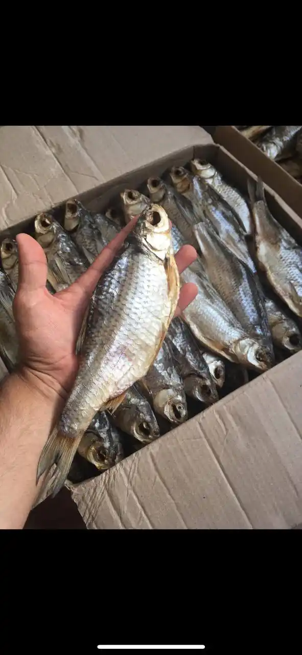 Вяленая вобла из Каспийского моря