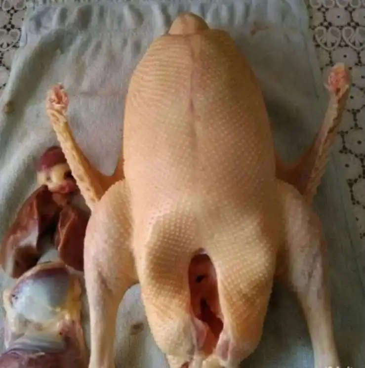 Домашний гусь