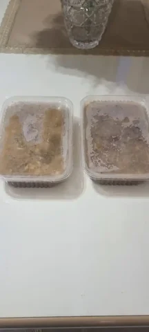 Холодец говяжий 700гр - Разное в Сургут