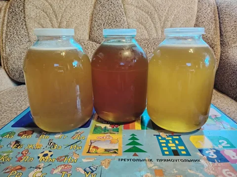 Натуральный мед с пасеки Пермского края - Продукты питания в Сургут