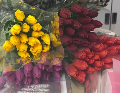 Крупные тюльпаны - Детские вещи в Сургут