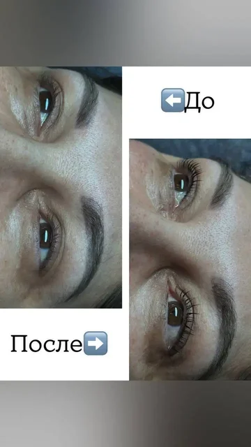 Ламинирование и окрашивание ресниц в Сургуте - Красота в Сургут