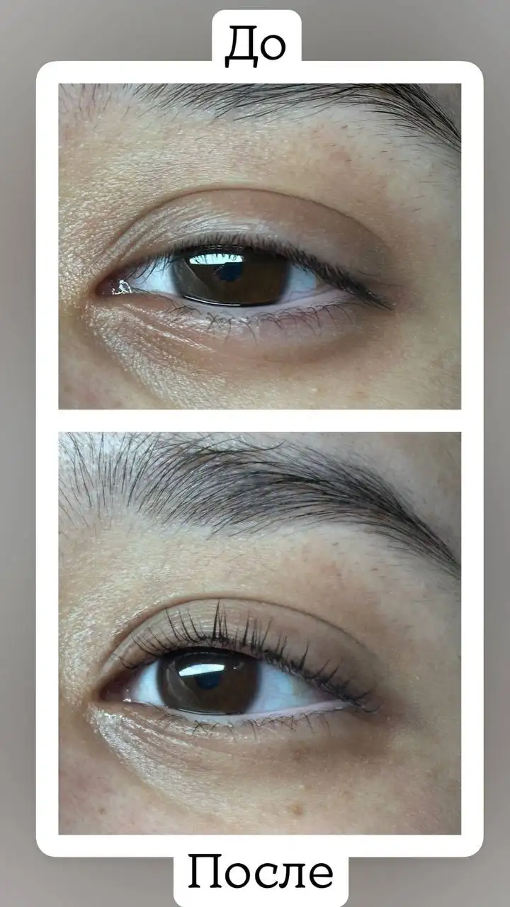 Ламинирование и окрашивание ресниц в Сургуте - Красота (Услуги) в Сургут
