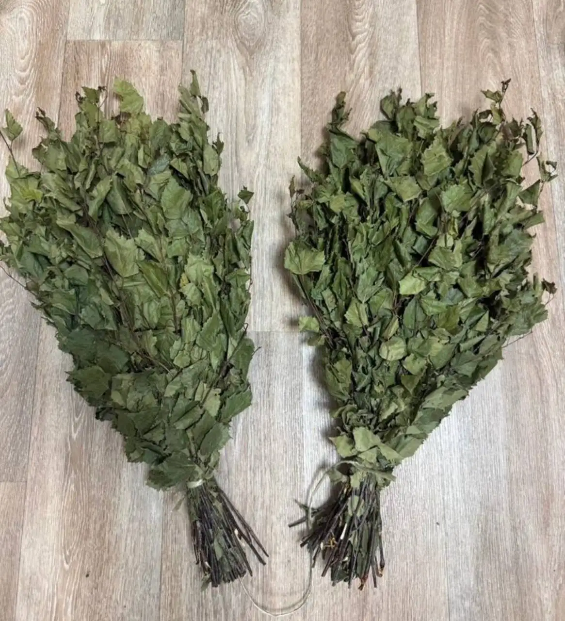 Продажа березовых и дубовых веников в Сургуте - Хобби и отдых в Сургут