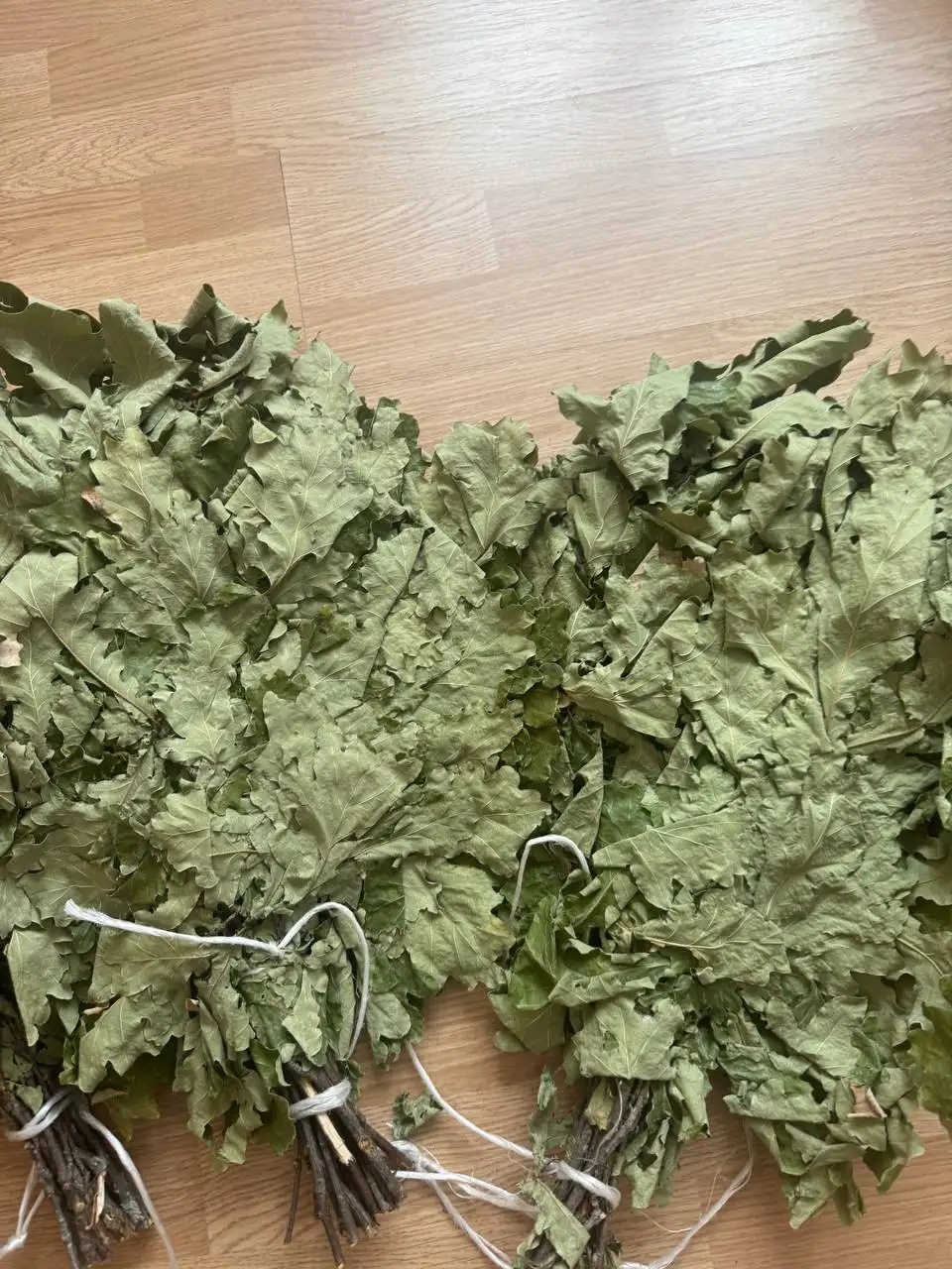 Продажа березовых и дубовых веников в Сургуте - Хобби и отдых в Сургут