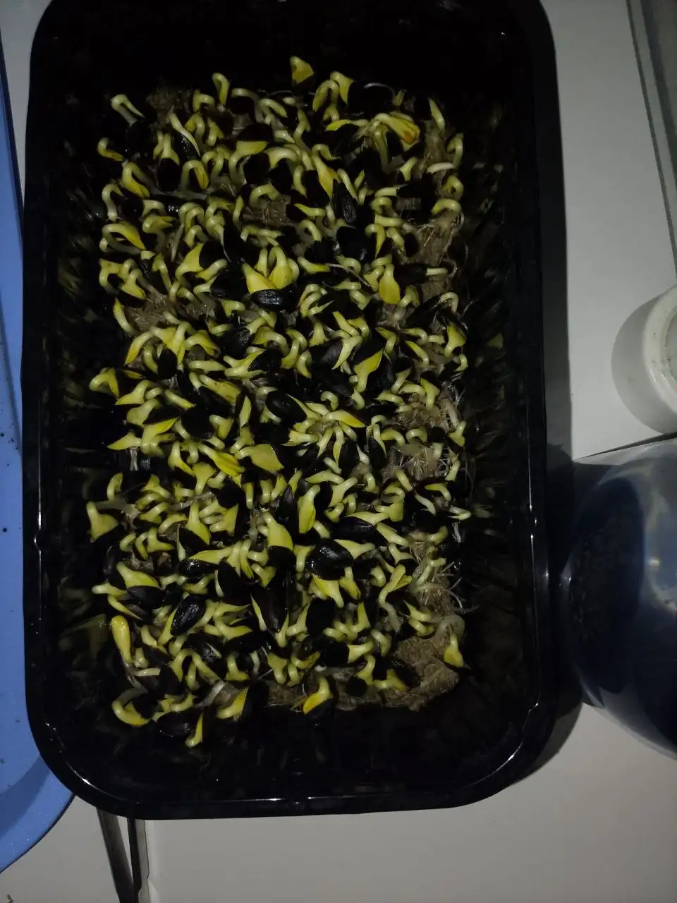 Продаю - Барахолка в Сургут