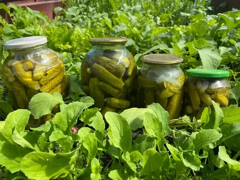 Домашние маринованные огурцы по болгарскому рецепту - Еда в Сургут