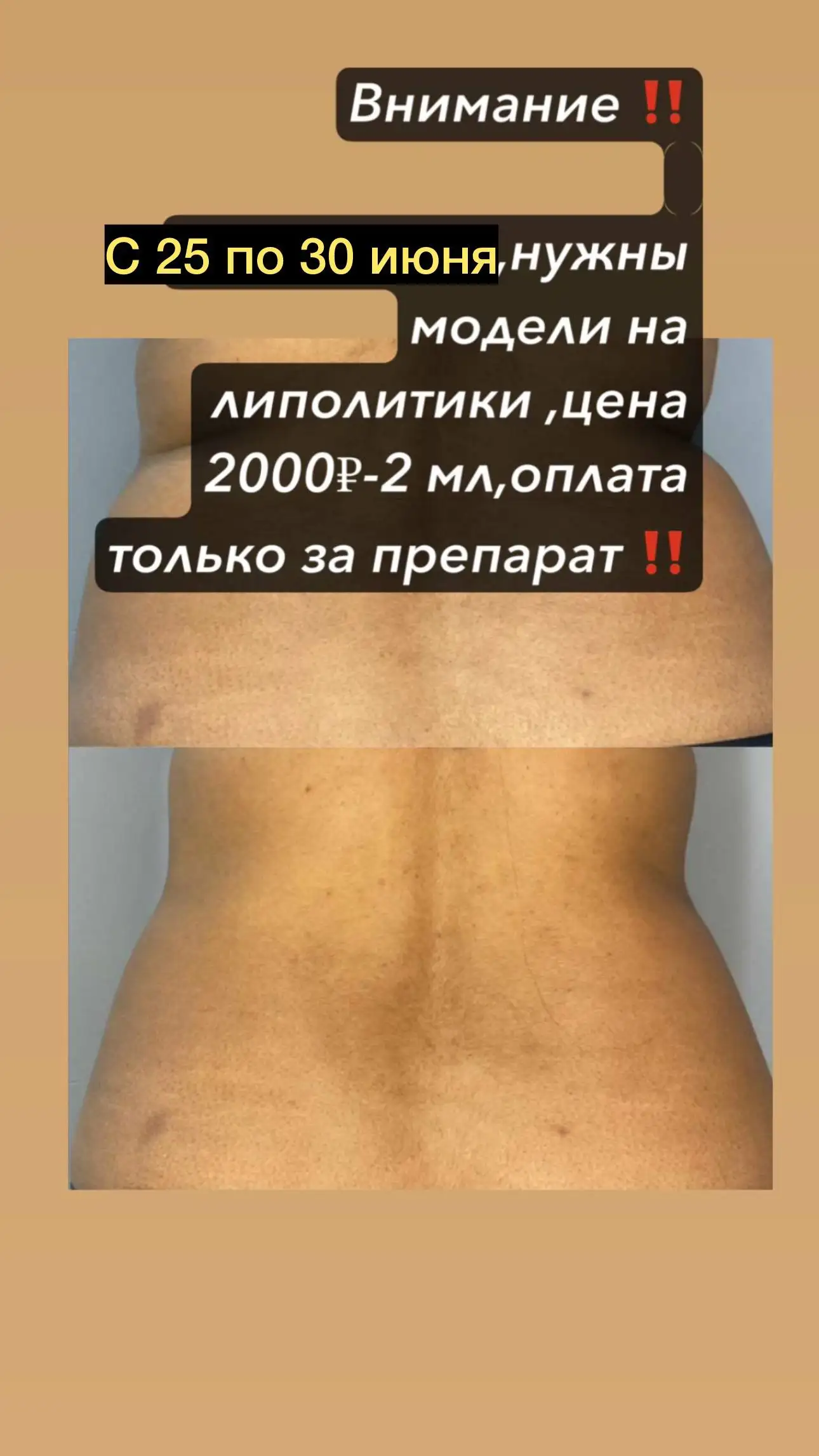 Услуги и реклама в Сургуте - Услуги в Сургут