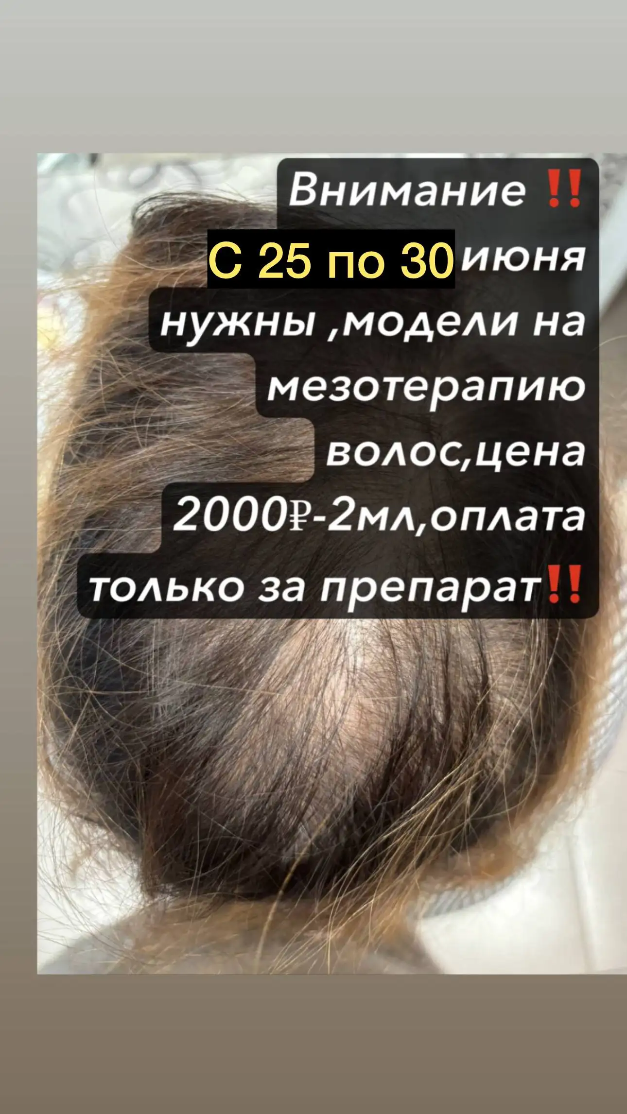 Услуги и реклама в Сургуте - Услуги в Сургут