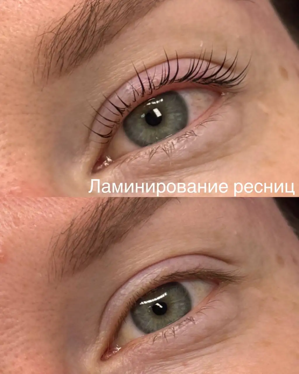 Процедуры для бровей и ресниц - Красота и здоровье (Услуги) в Сургут