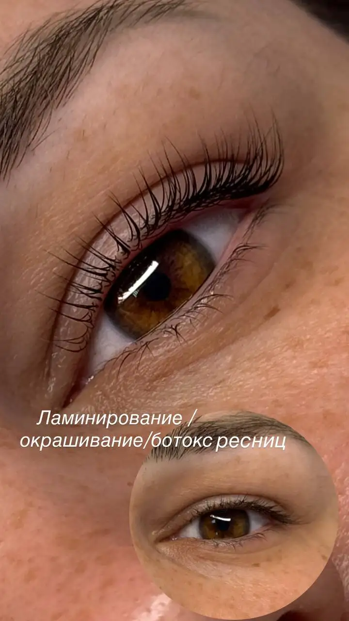 Процедуры для бровей и ресниц - Красота и здоровье (Услуги) в Сургут