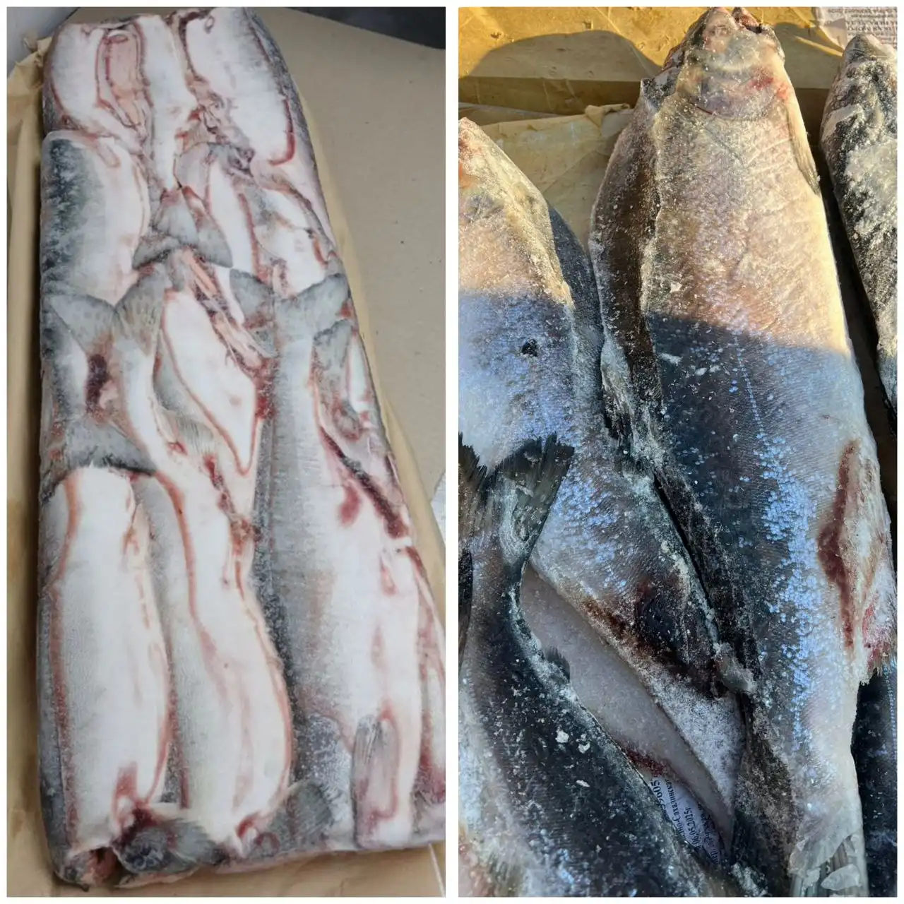 Продажа горбуши с/м пластом 10 кг
