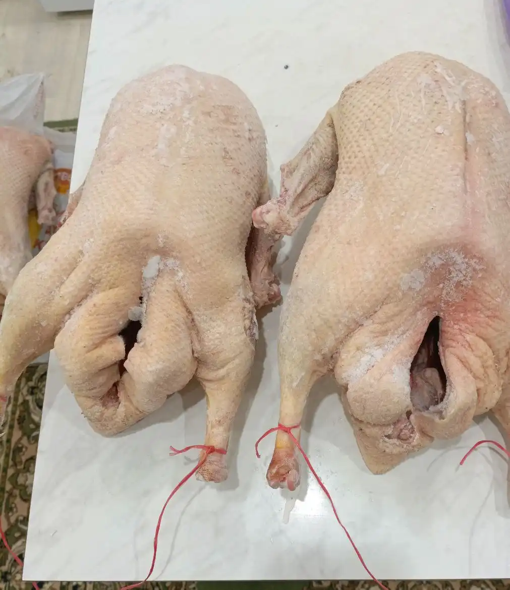 Продажа тушек домашних гусей халяль