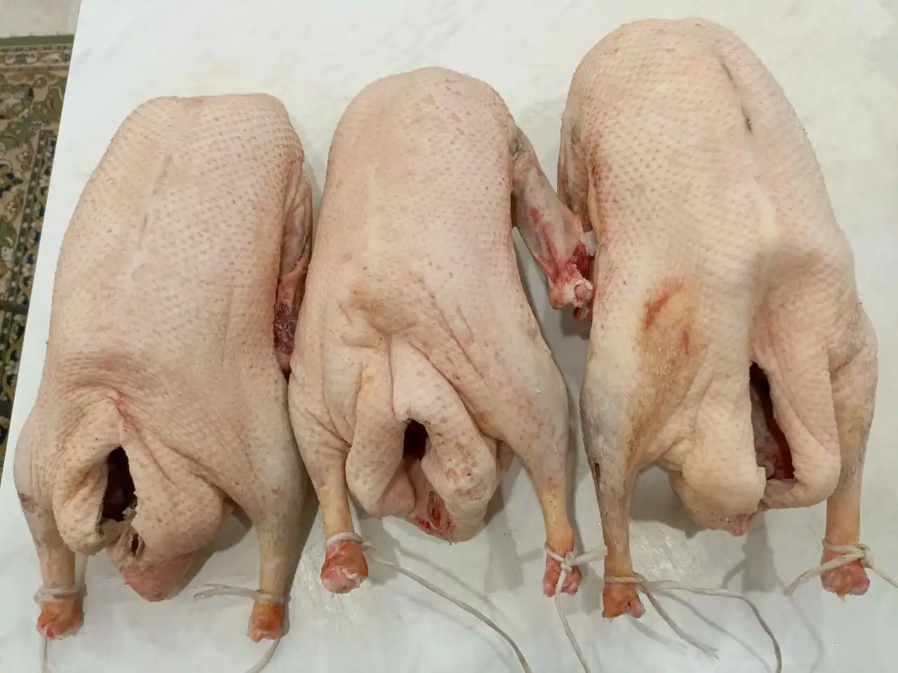 Продажа тушек домашних гусей халяль