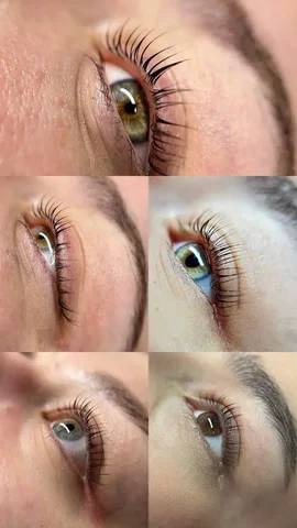 Поиск модели на ламинирование ресниц - Садовые работы в Ульяновск