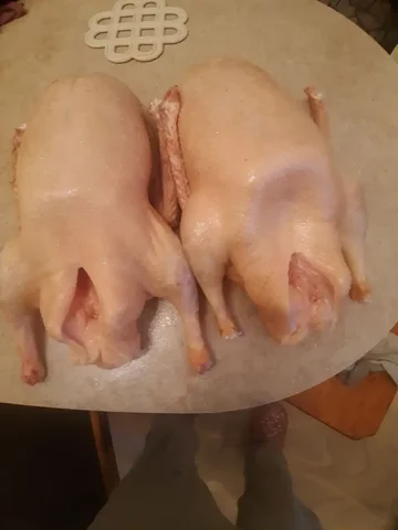 Гуси в наличии - Животные в Самара