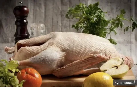 Продажа мяса гуся и гусиного жира - Животные в Самара