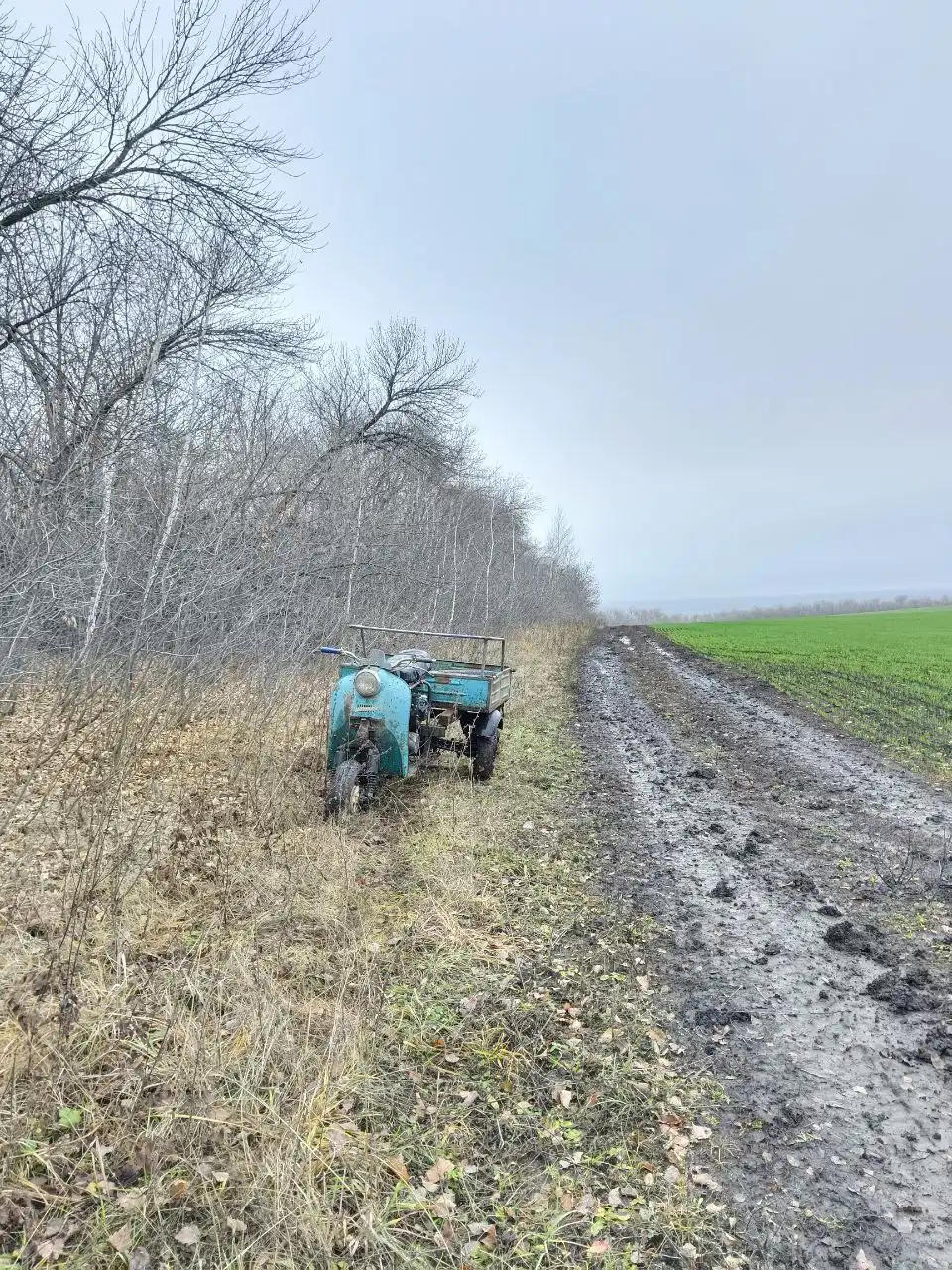 Продажа двухместного муравья лохматых годов с двигателем 200см³