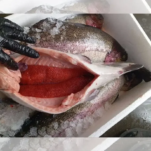 Охлажденная форель с икрой, стейки лосося и семга Чили - Хобби и отдых в Самара