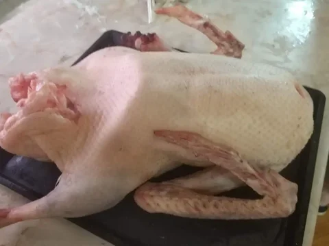 Продажа свежей гусятины - Животные в Самара