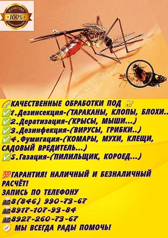 Профессиональная дератизация от грызунов - Услуги в Самара