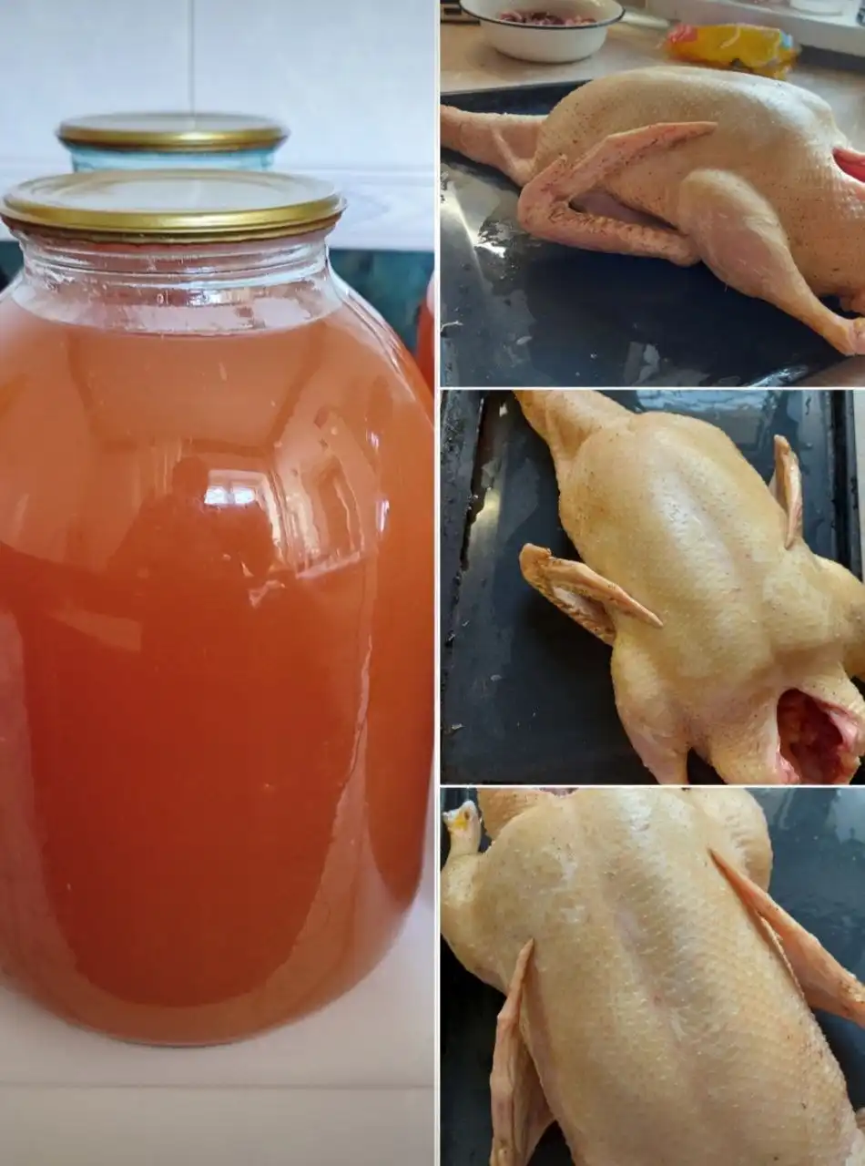 Натуральный яблочный сок прямого отжима и гусиные тушки