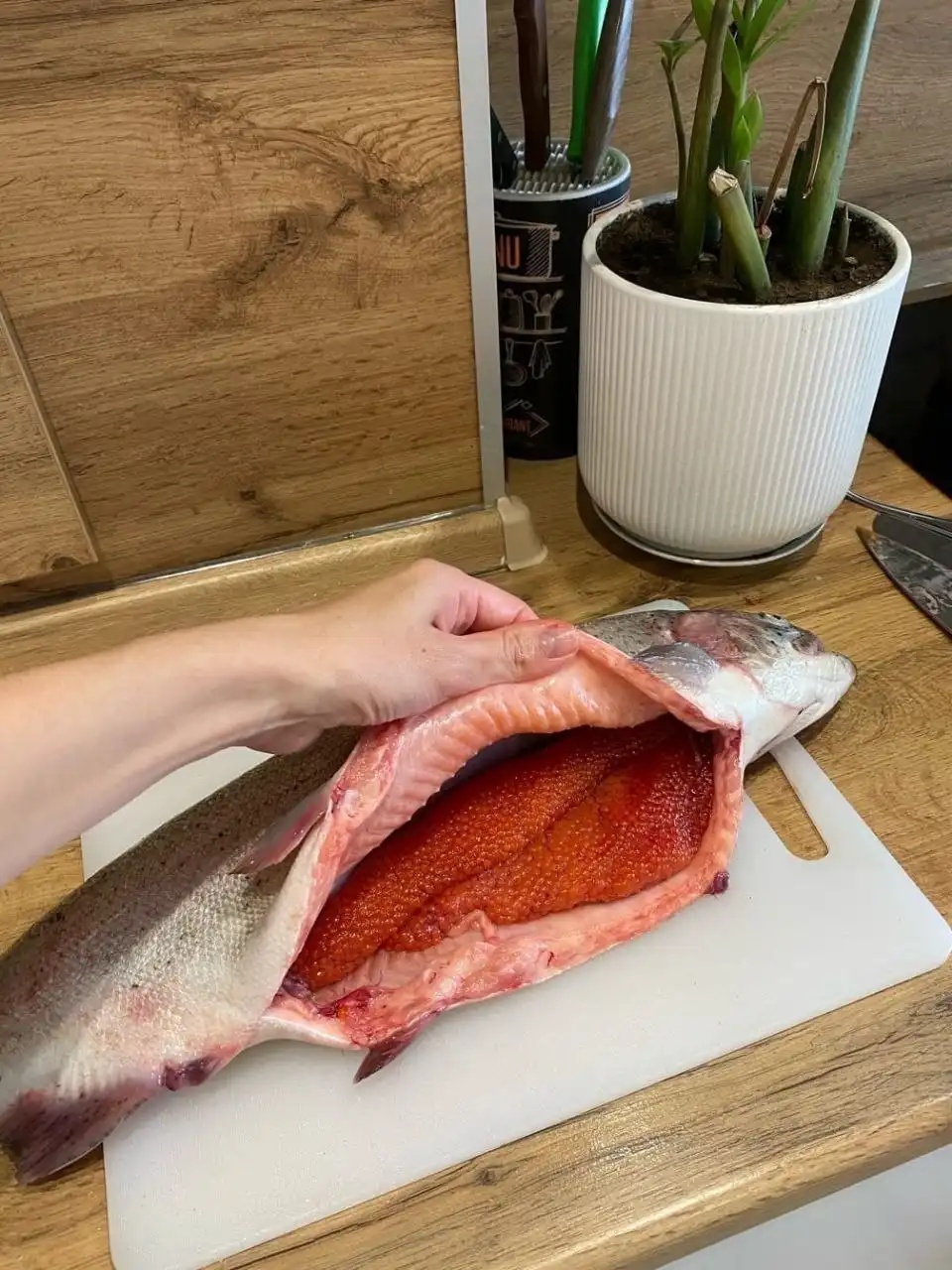 Охлажденная форель и морепродукты