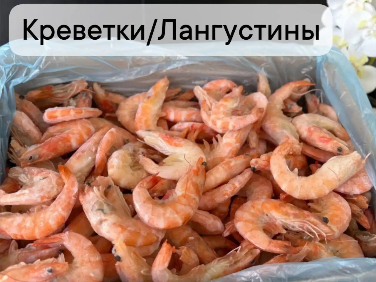 Охлажденная форель и морепродукты