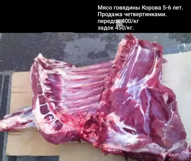 Объявление о продаже товара в Самаре - Услуги в Самара