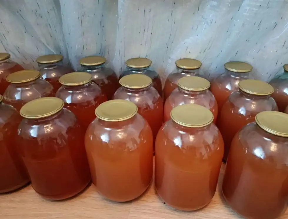 Натуральный яблочный сок из осенних яблок