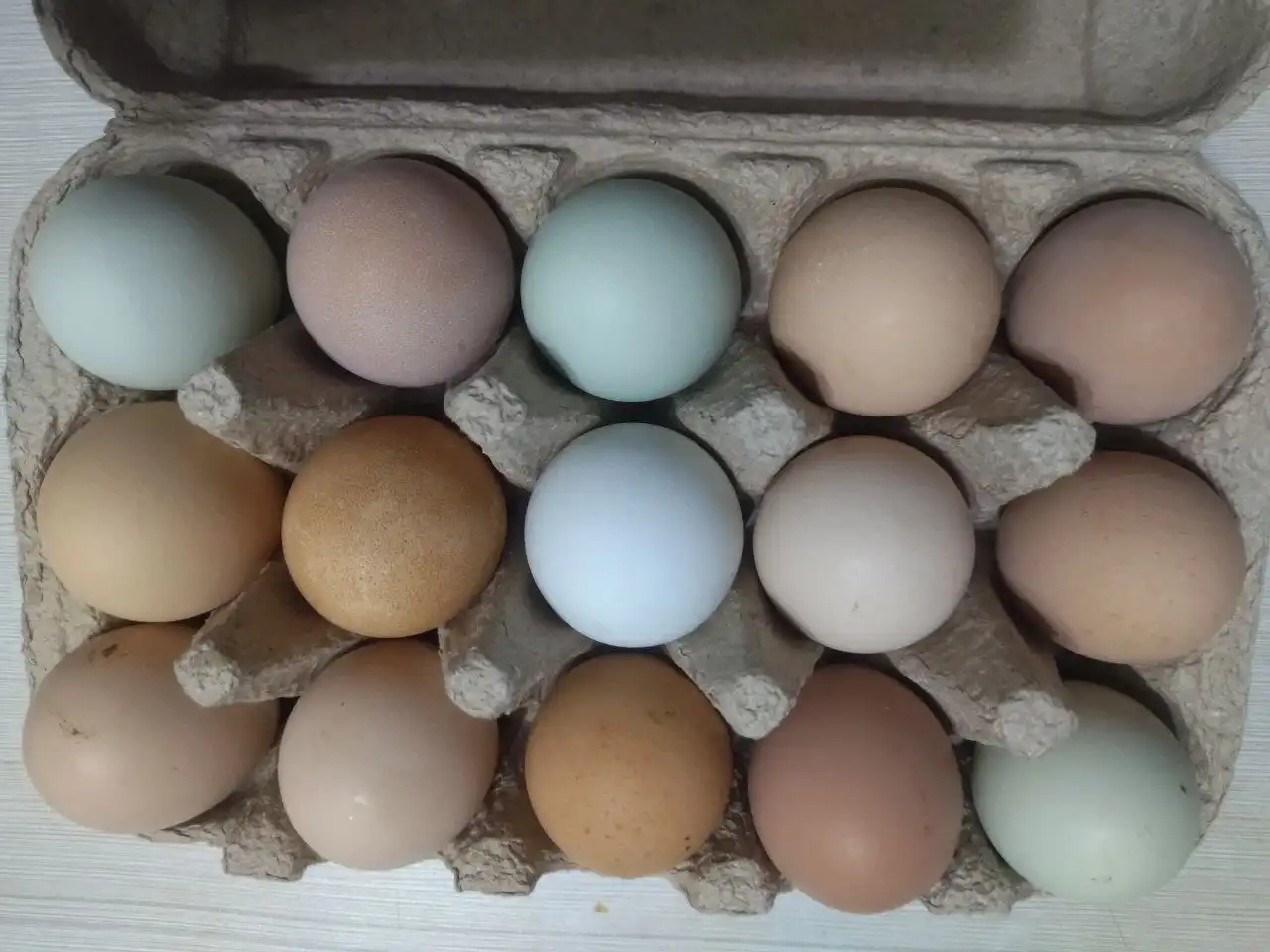 Продажа домашних куриных яиц