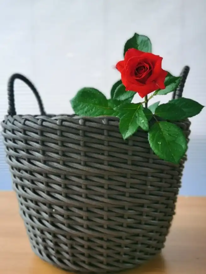 Мастер-класс по плетению из искусственного ротанга в Самаре