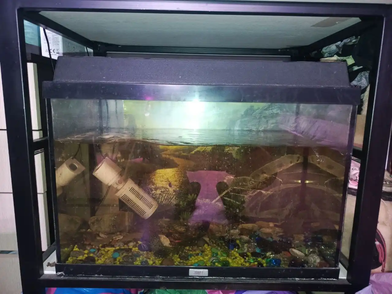 Аквариум 70л с аксессуарами в отличном состоянии - Аквариумистика (Хобби и отдых) в Самара