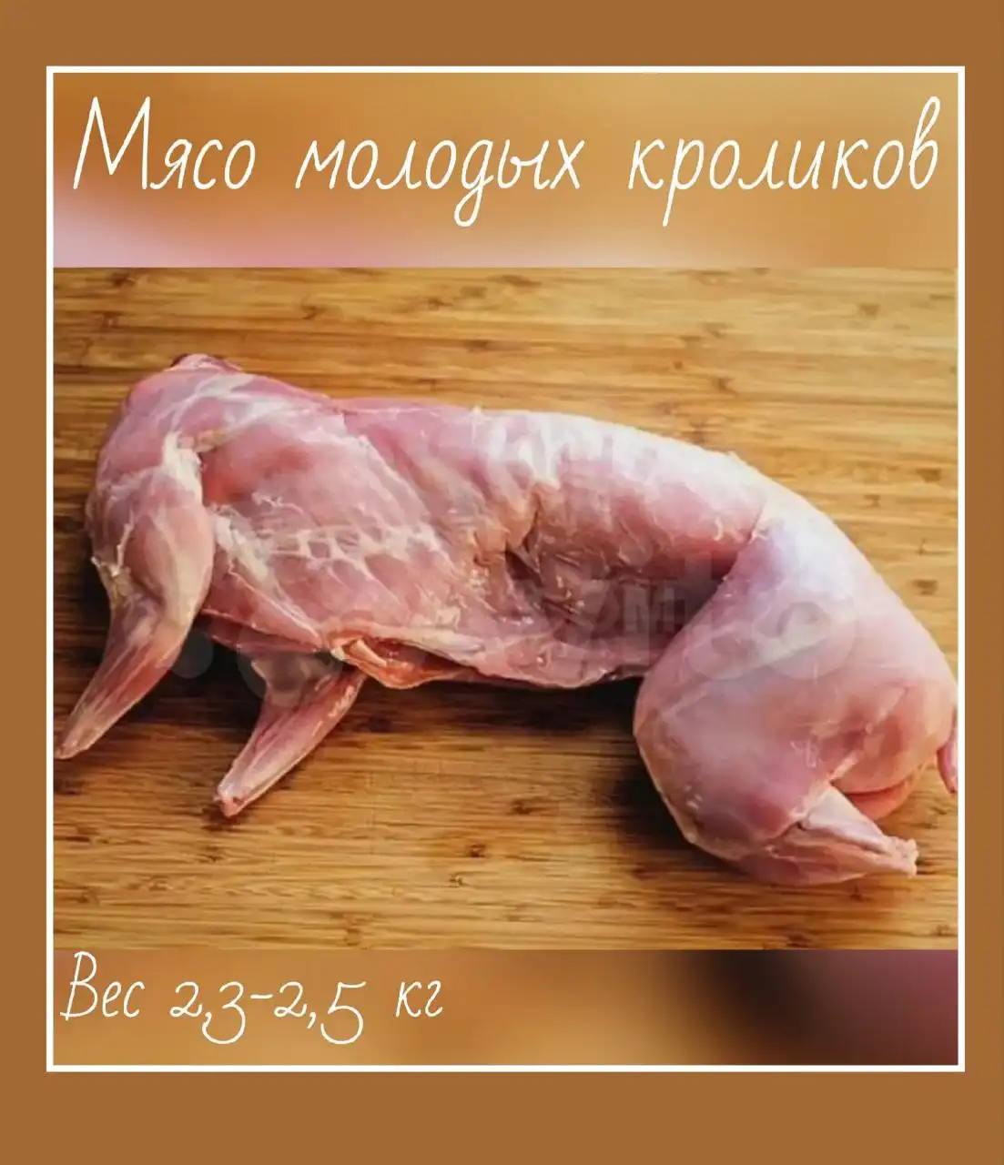 Мясо молодых кроликов с домашнего хозяйства - Животные в Самара