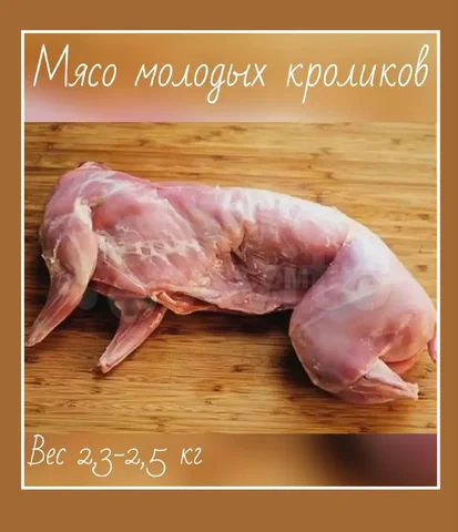 Мясо молодых кроликов с домашнего хозяйства - Кошки в Самара