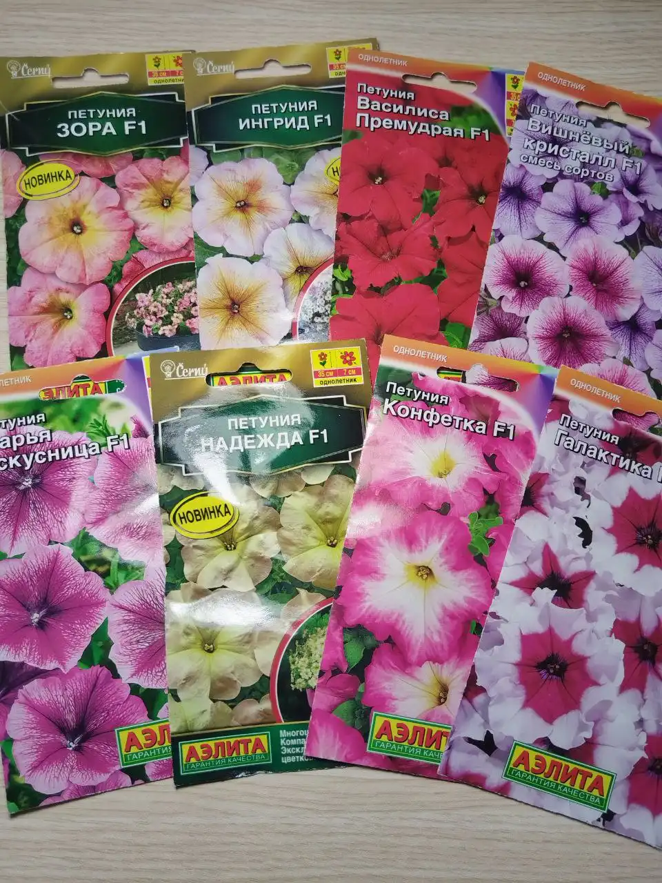 Обучение выращиванию петунии из семян - Обучение и консультации (Услуги) в Самара