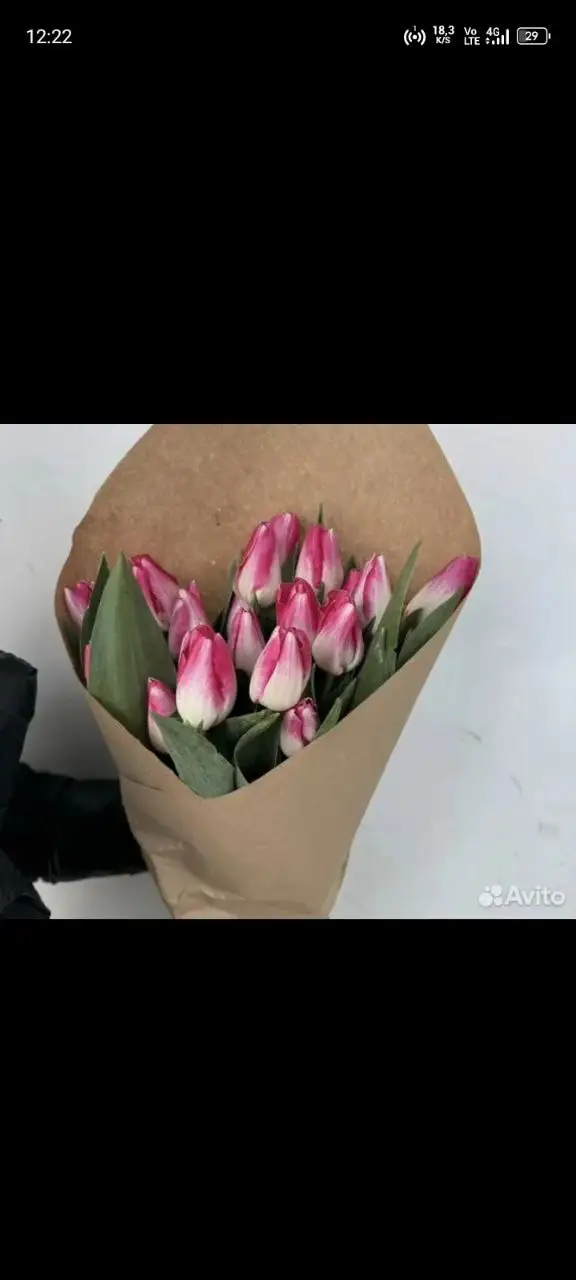 Тюльпаны к 8 Марта с доставкой в Самаре - Цветы (Хобби и отдых) в Самара